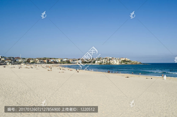 邦迪海灘