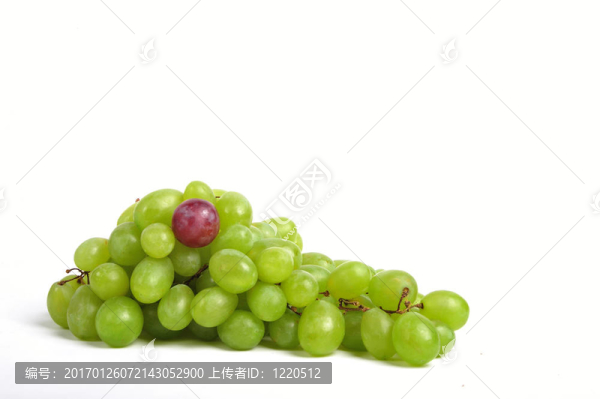 紅豆