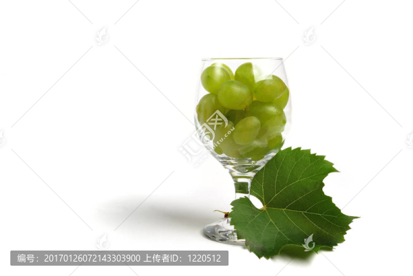 葡萄
