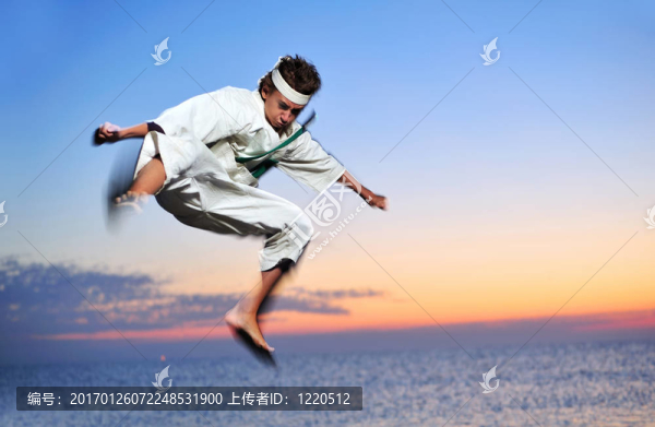武術(shù)
