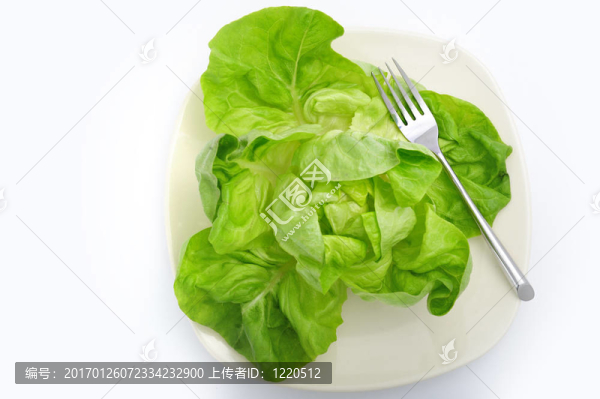 薩拉德