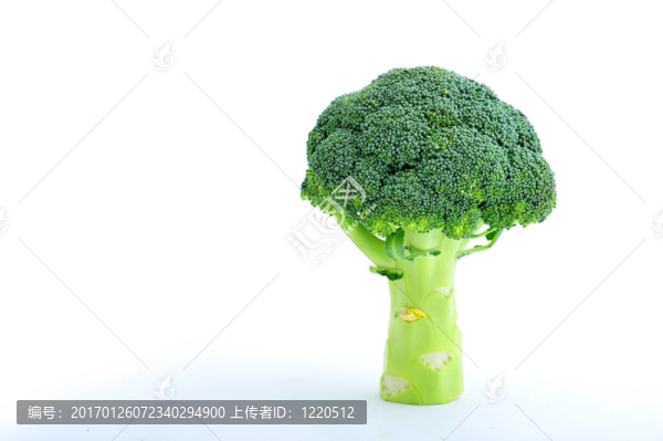 西蘭花樹