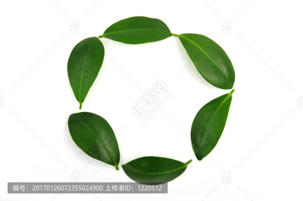 葉圓