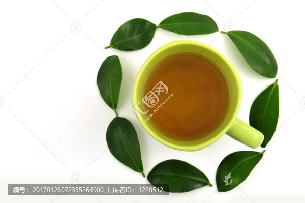 茶的概念