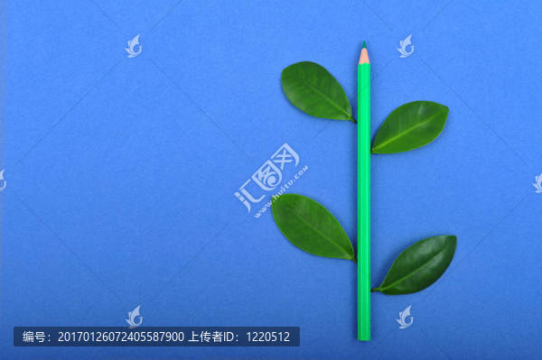 鉛筆與葉