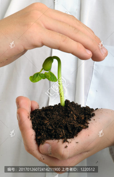 保護(hù)新的生命