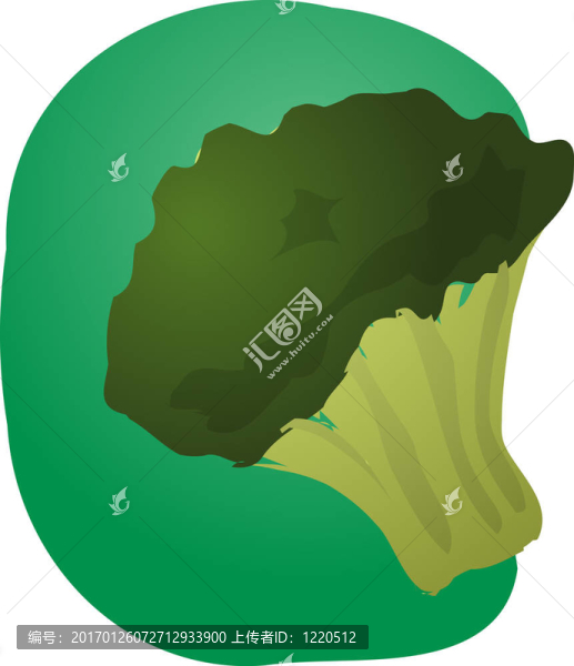 花椰菜的插圖