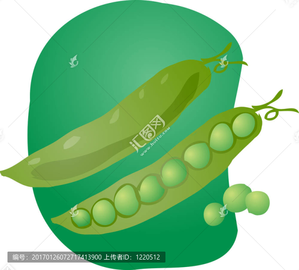 豌豆的插圖