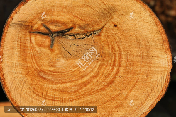 砍木頭