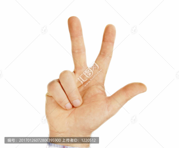 手?jǐn)?shù)