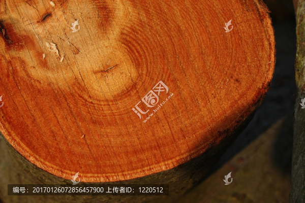 砍木頭