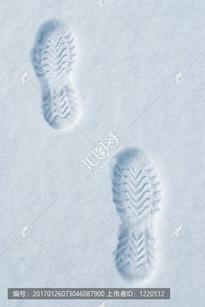 腳步在雪中
