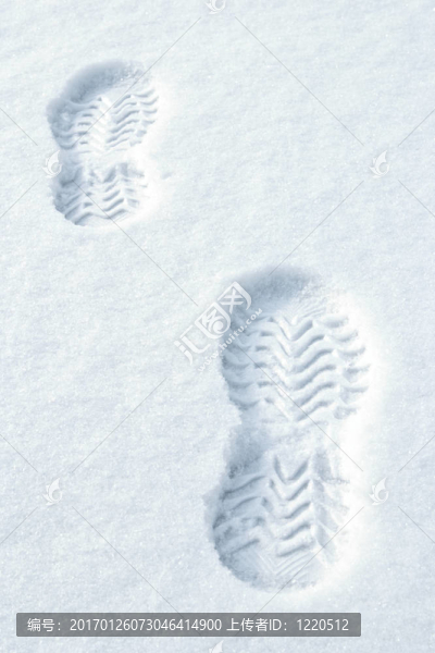 腳步在雪中