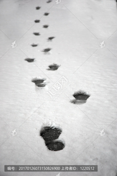 腳步在雪中