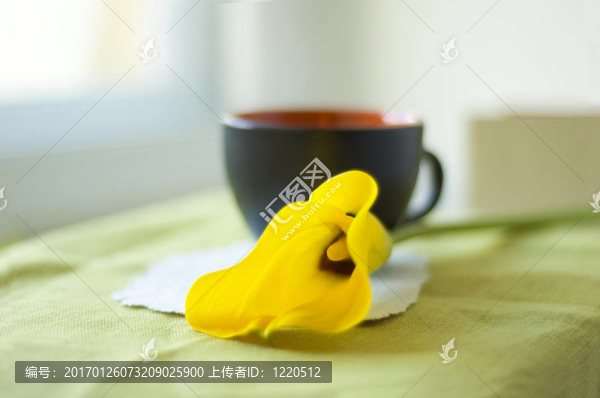 一杯咖啡和一個馬蹄蓮