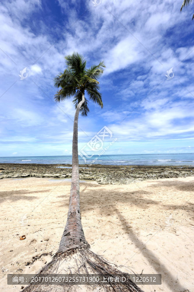 天堂海灘-匯圖網(wǎng) www.fosd68.com 天堂海灘