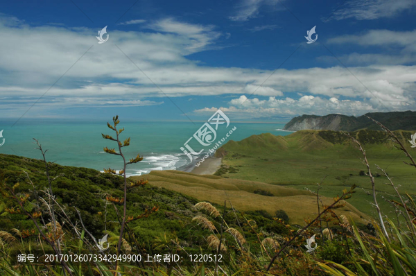 美麗的風(fēng)景
