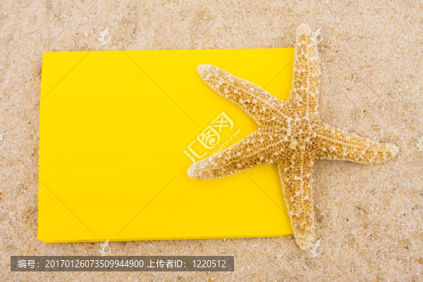 海星