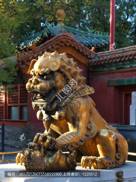 紫禁城里的帝國獅子
