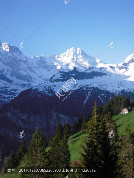 山景