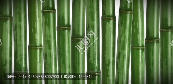 硬竹背景