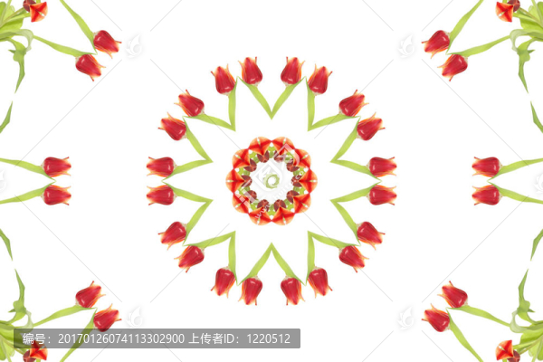 花的萬花筒