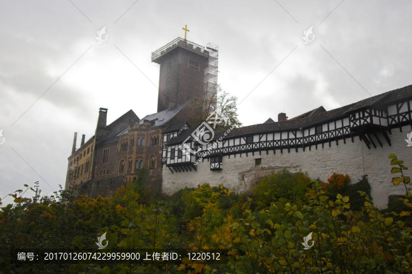 森林和城堡