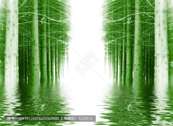 冬木的背景