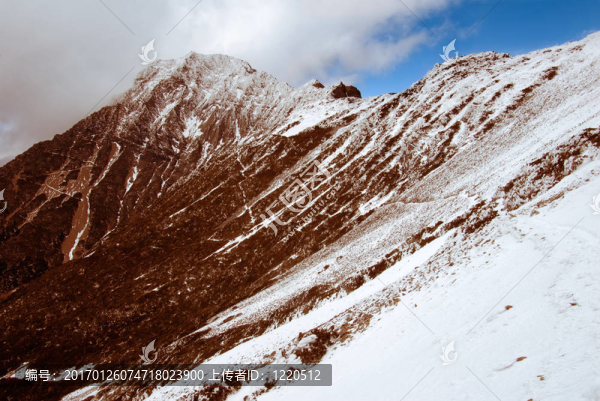 山玉雪