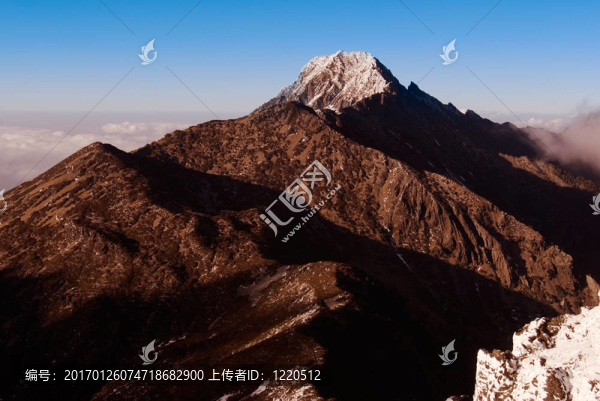 山玉14