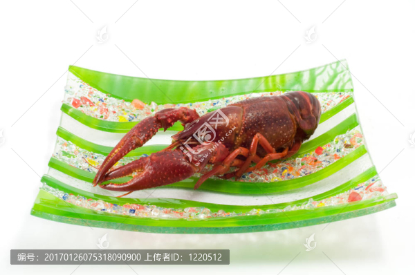 小龍蝦和蝦