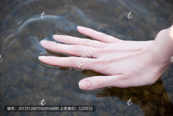 棕櫚油和水