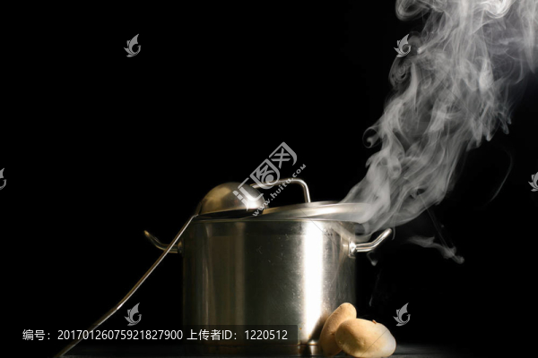我的大平底鍋