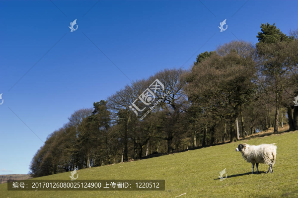 山頂區(qū)國家公園