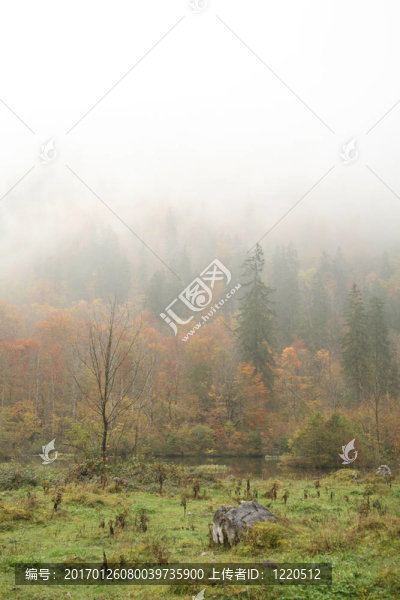 暴雨中的阿爾卑斯山附近的湖泊