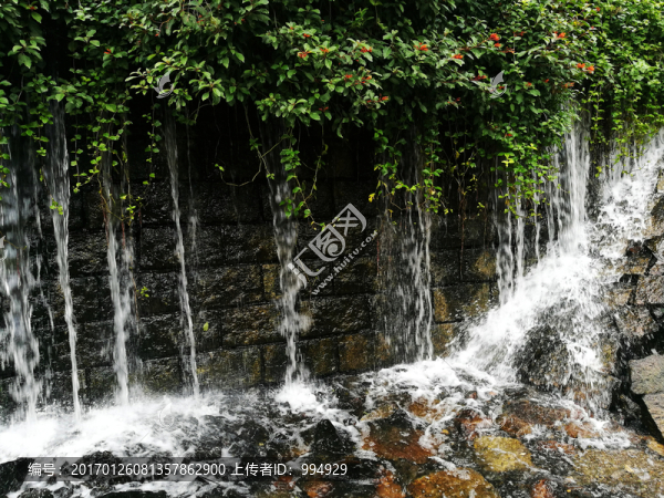 深圳東湖公園風(fēng)景