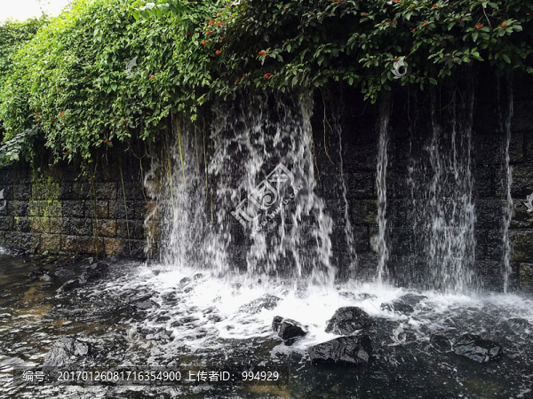 深圳東湖公園風景