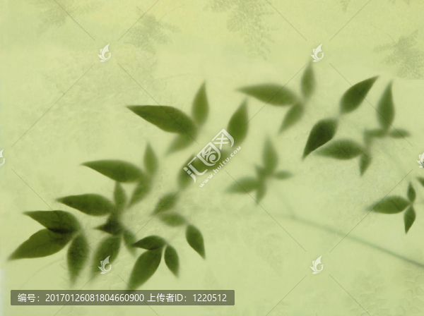樹葉和蕨類植物紙