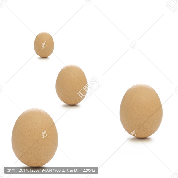 雞蛋