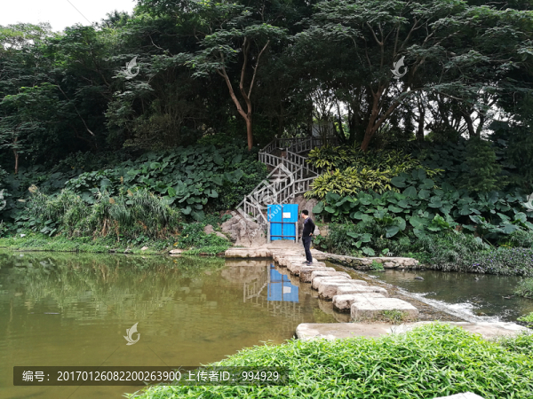 深圳東湖公園