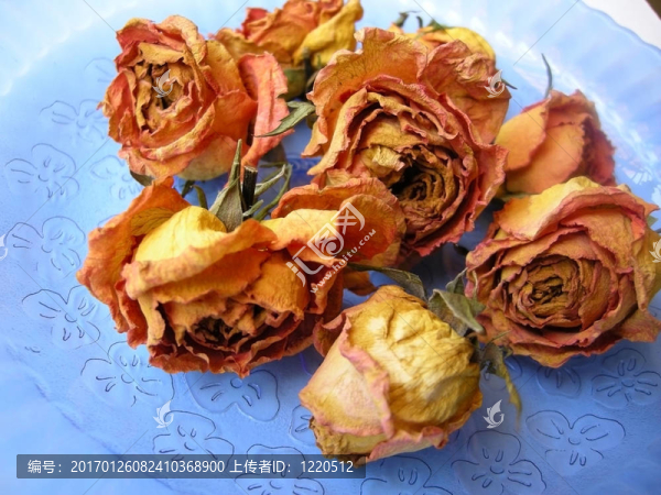藍(lán)板上干玫瑰82