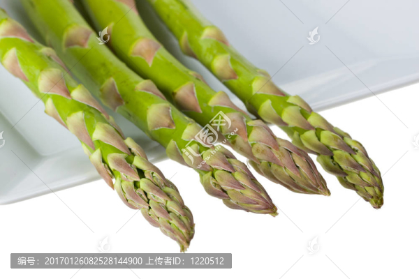 蘆筍