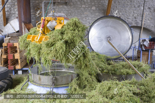 草本精華酒廠