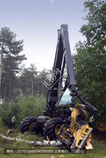 木刀-匯圖網(wǎng) www.fosd68.com 木刀