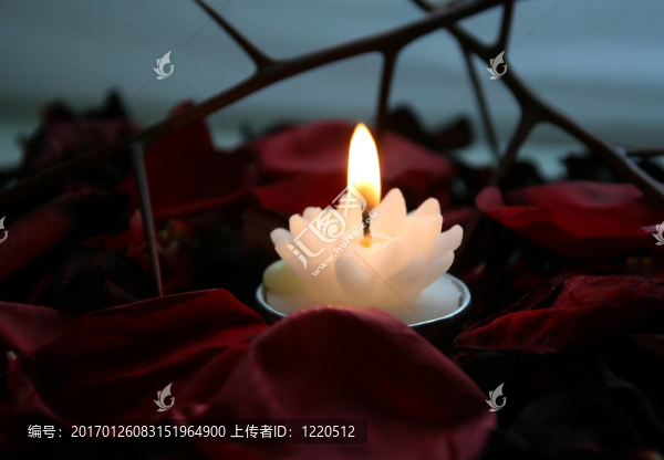 火的花瓣