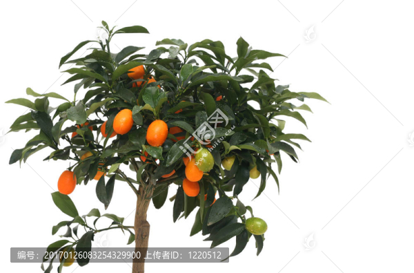 點(diǎn)普通話