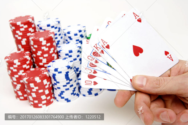 獲勝的組合
