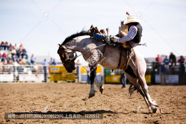 牛仔競(jìng)技-匯圖網(wǎng) www.fosd68.com 牛仔競(jìng)技