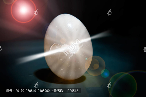 出生