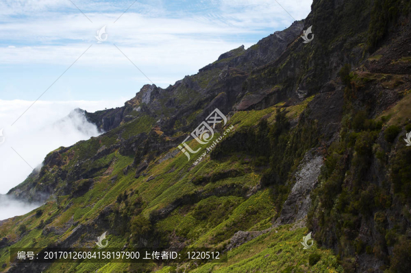 山